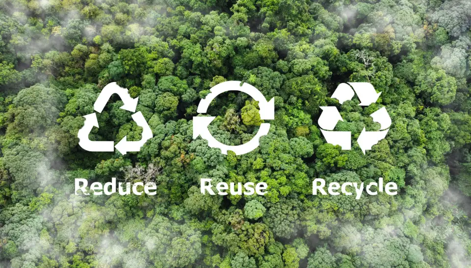 Reduce, reuse and recycle symbols over woodland