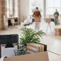 Office furniture and plants packed in boxes