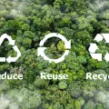 Reduce, reuse and recycle symbols over woodland