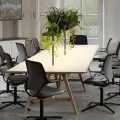Open-plan office with timber bench desks, task chairs and planting
