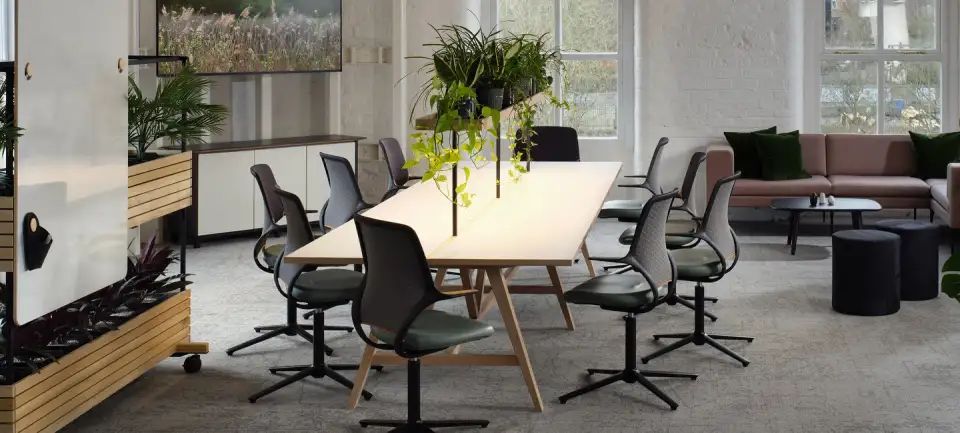 Open-plan office with timber bench desks, task chairs and planting